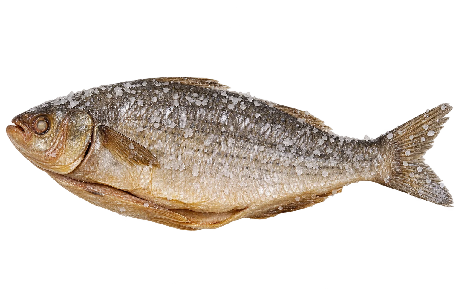 Fish Salted Fesseekh product shot