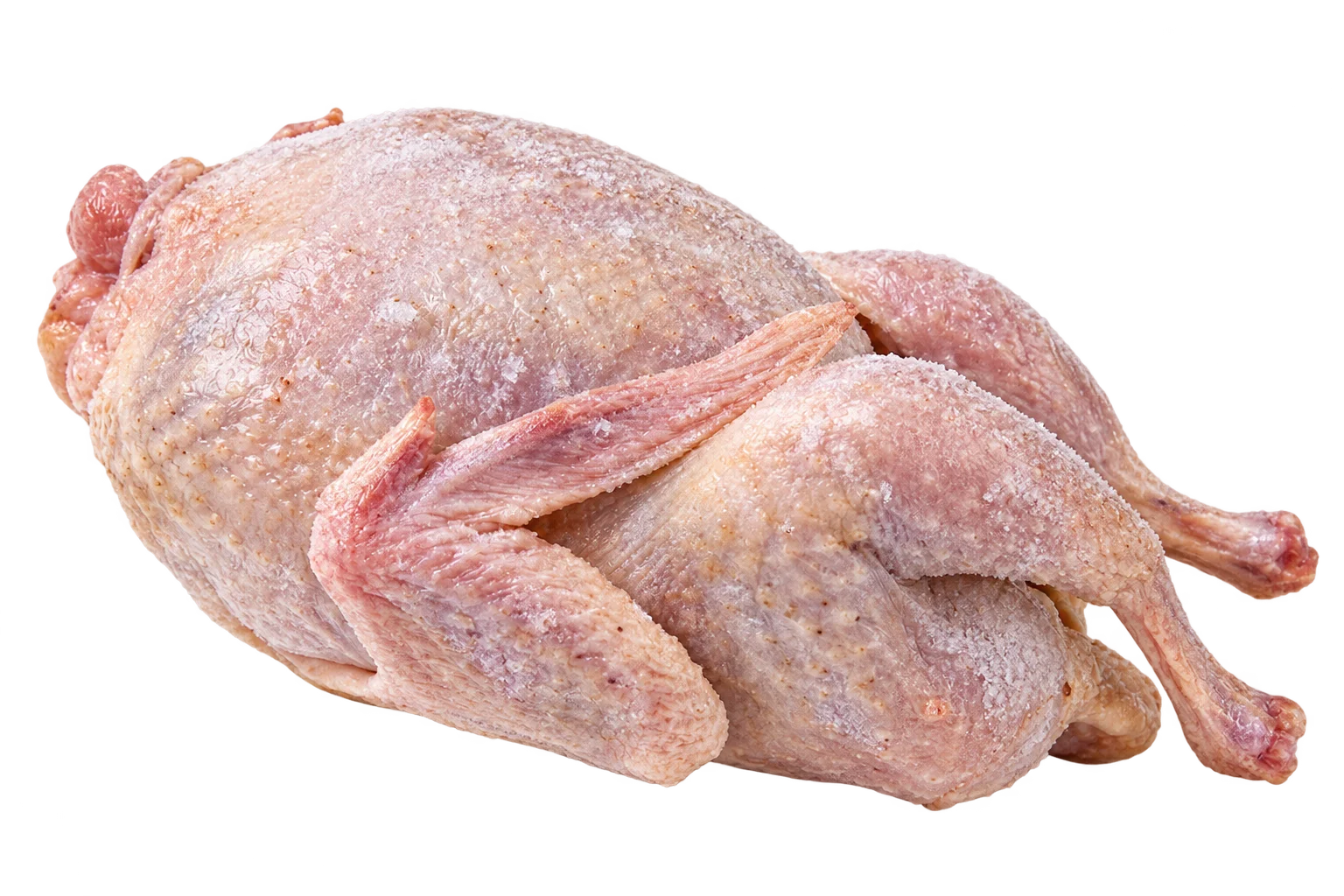 poultry quail halal product shot
